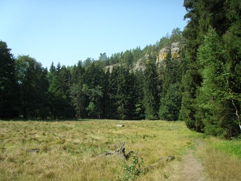 Foto 44